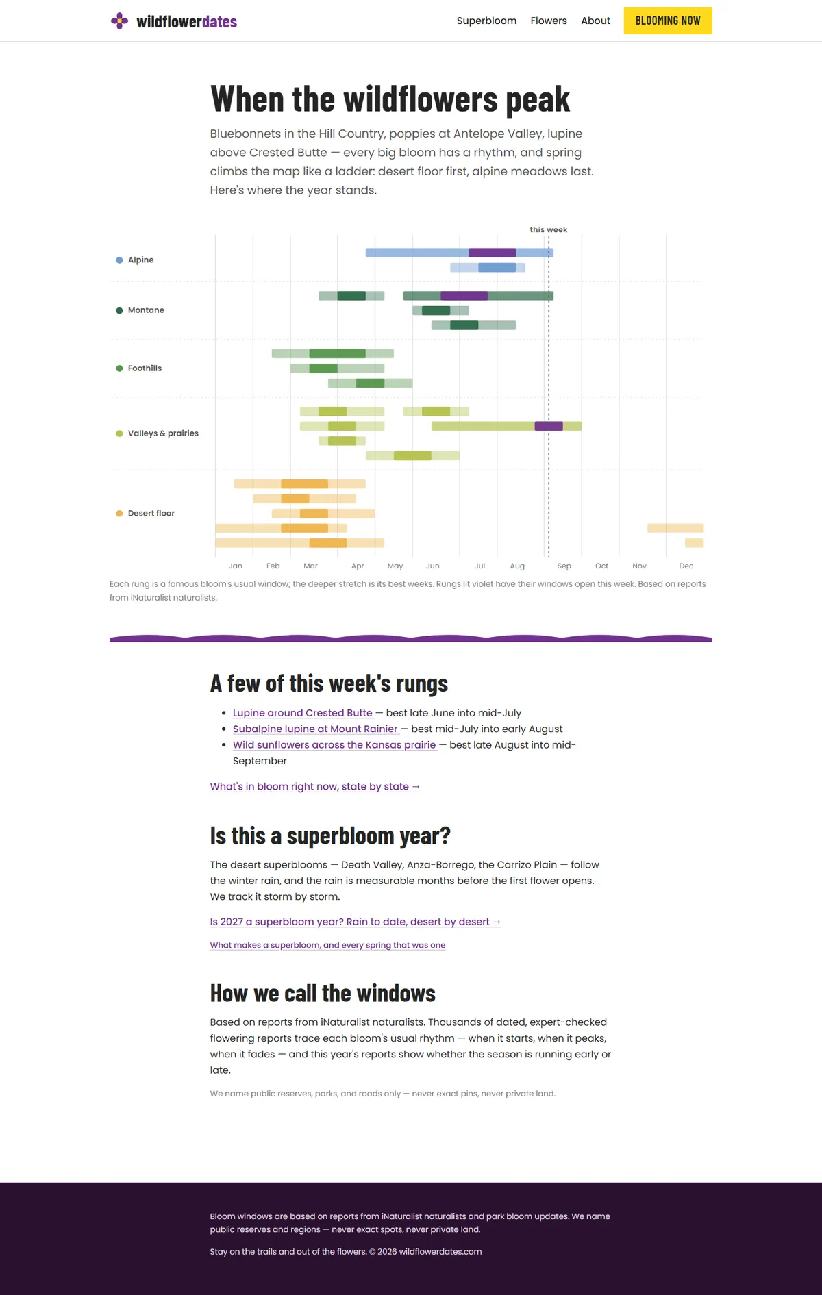 Full page of wildflowerdates.com